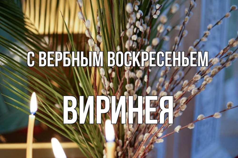 Открытка на каждый день с именем, Виринея С вербным воскресеньем верба Прикольная открытка с пожеланием онлайн скачать бесплатно 