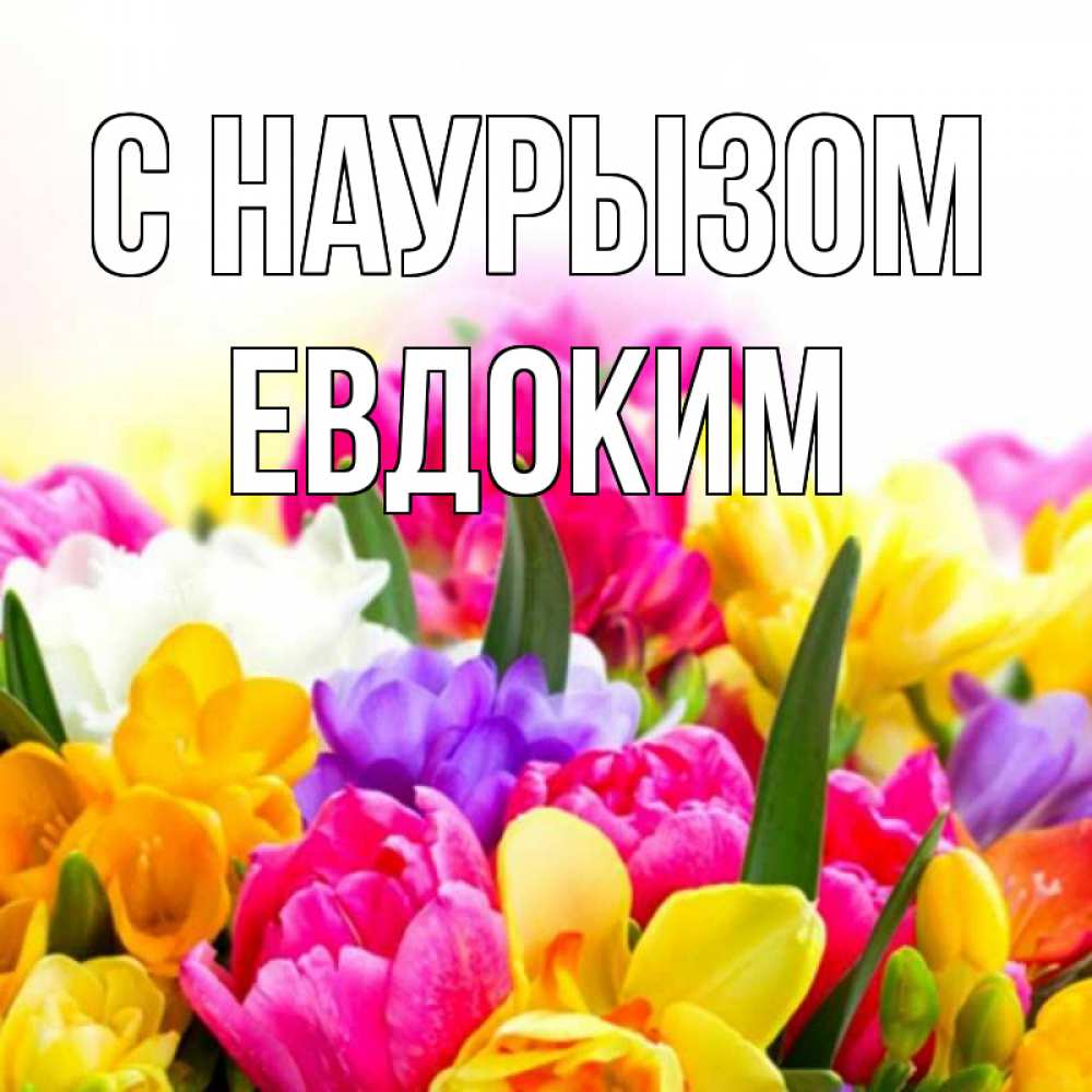 Открытка на каждый день с именем, Евдоким С наурызом тюльпаны Прикольная открытка с пожеланием онлайн скачать бесплатно 