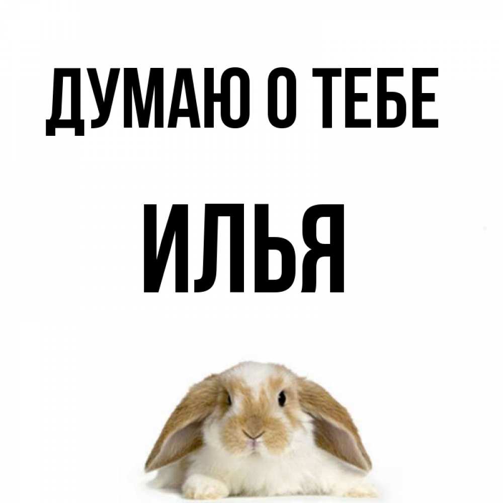 Открытка на каждый день с именем, Илья Думаю о тебе подписать своими руками онлайн Прикольная открытка с пожеланием онлайн скачать бесплатно 