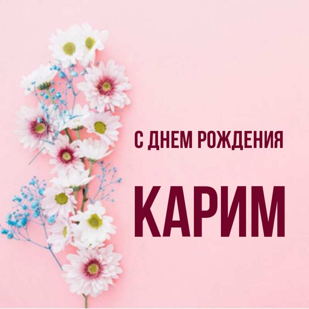 Открытка на каждый день с именем, Карим С днем рождения Родная моя с днем рождения тебя картинка с цветами белыми и голубыми Прикольная открытка с пожеланием онлайн скачать бесплатно 
