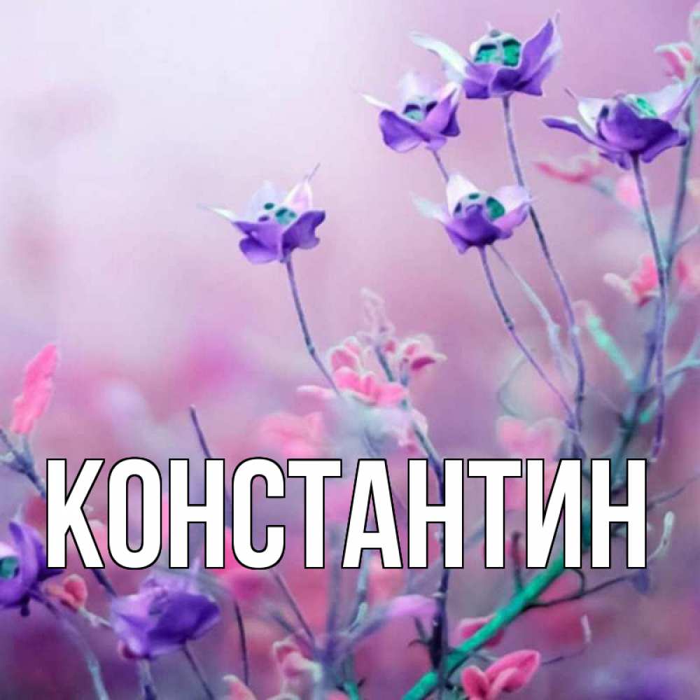 Открытка на каждый день с именем, Константин Главная международный женский день 2 Прикольная открытка с пожеланием онлайн скачать бесплатно 