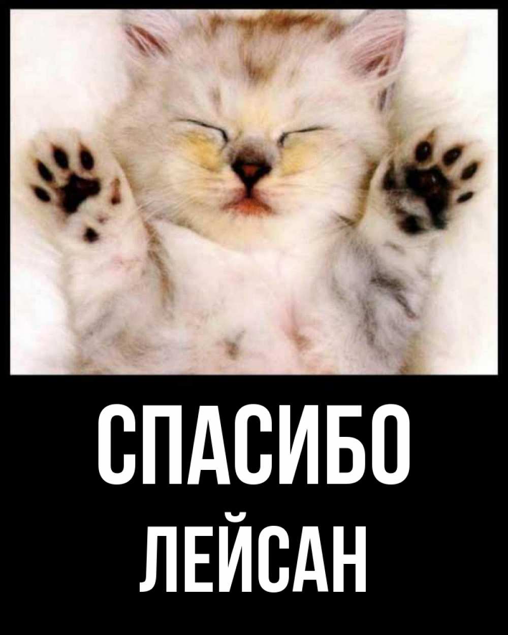 Открытка на каждый день с именем, Лейсан Спасибо маленький котенок Прикольная открытка с пожеланием онлайн скачать бесплатно 