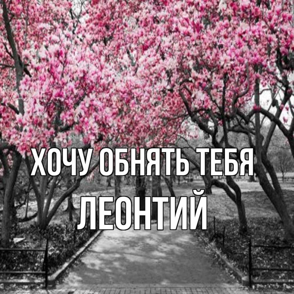 Открытка на каждый день с именем, Леонтий Хочу обнять тебя обработанное фото Прикольная открытка с пожеланием онлайн скачать бесплатно 