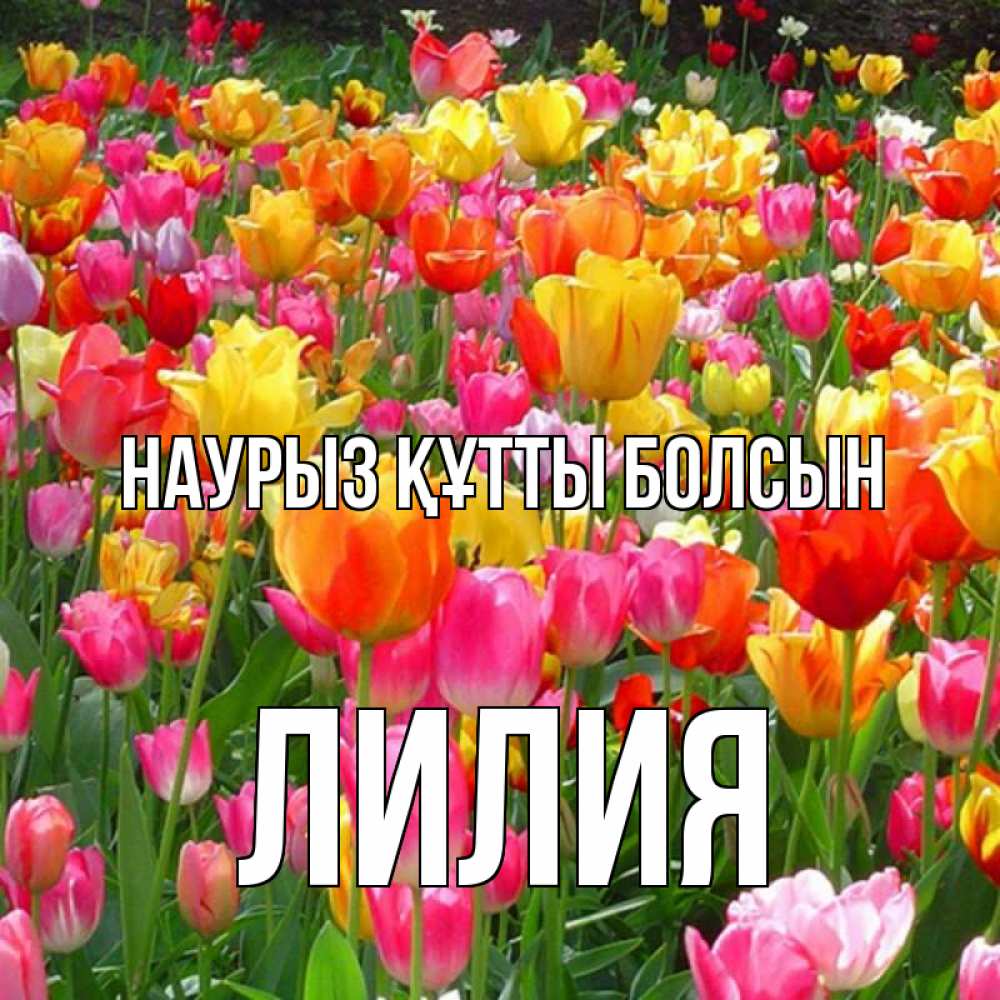 Открытка на каждый день с именем, Лилия Наурыз құтты болсын на наурыз  ура ура Прикольная открытка с пожеланием онлайн скачать бесплатно 