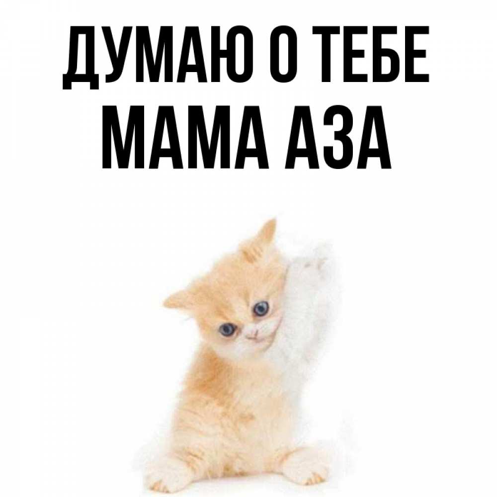 Открытка на каждый день с именем, Мама-Аза Думаю о тебе зверушки и милота Прикольная открытка с пожеланием онлайн скачать бесплатно 
