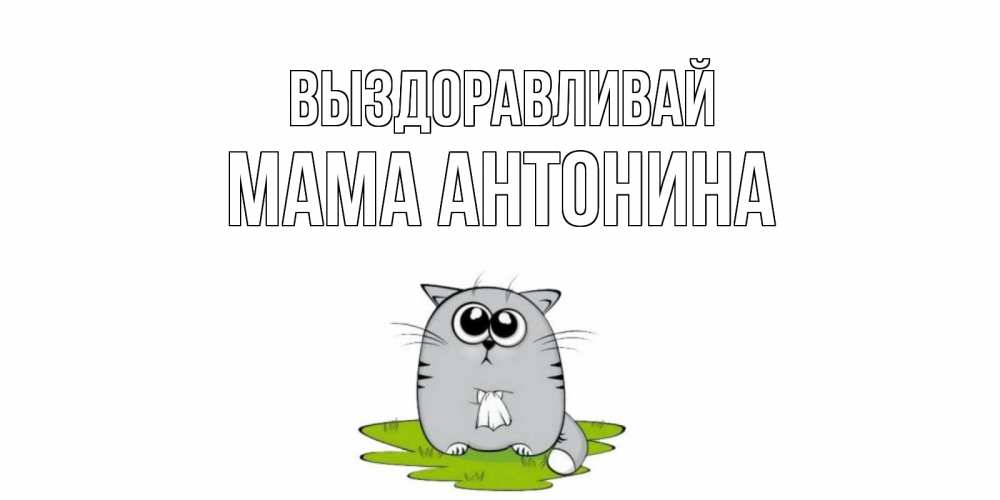 Открытка на каждый день с именем, Мама-Антонина Выздоравливай кот и открытки про выздоровление Прикольная открытка с пожеланием онлайн скачать бесплатно 