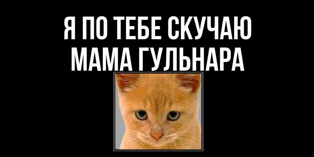 Открытка на каждый день с именем, Мама-Гульнара Я по тебе скучаю открытки рыжий котенок скучает по тебе Прикольная открытка с пожеланием онлайн скачать бесплатно 