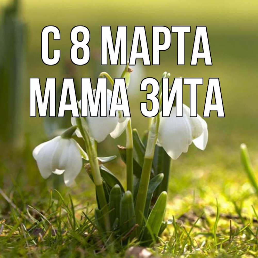 Открытка на каждый день с именем, Мама-Зита С 8 МАРТА ранние цветы 2 Прикольная открытка с пожеланием онлайн скачать бесплатно 