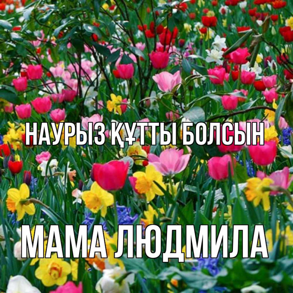 Открытка на каждый день с именем, Мама-Людмила Наурыз құтты болсын с наурызом поздравления для женщины Прикольная открытка с пожеланием онлайн скачать бесплатно 