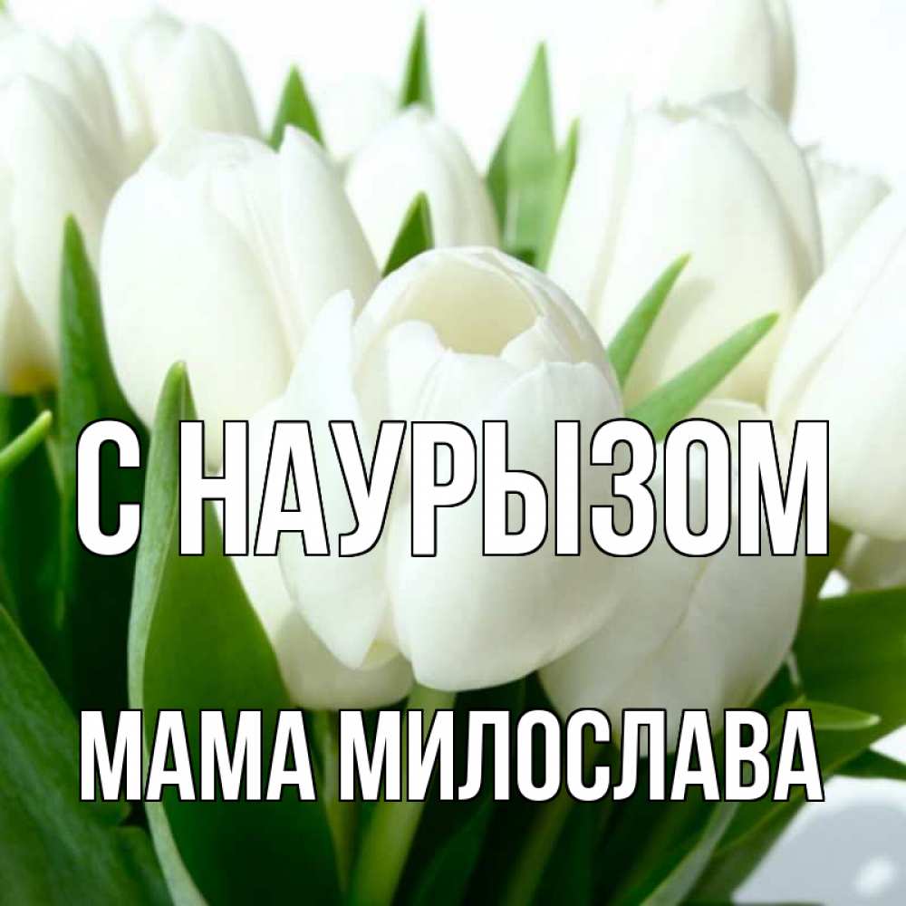 Открытка на каждый день с именем, Мама-Милослава С наурызом цветы Прикольная открытка с пожеланием онлайн скачать бесплатно 