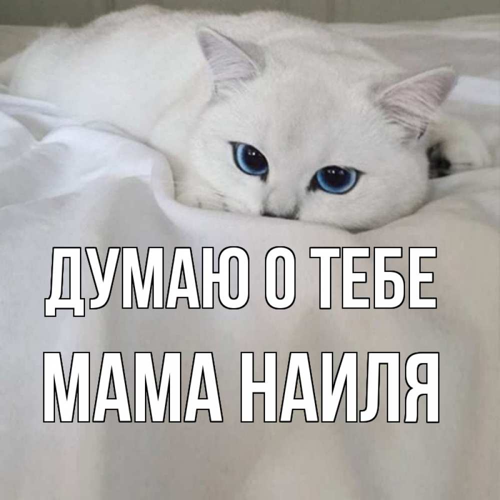 Открытка на каждый день с именем, Мама-Наиля Думаю о тебе я очень по тебе скучаю и тоскую Прикольная открытка с пожеланием онлайн скачать бесплатно 