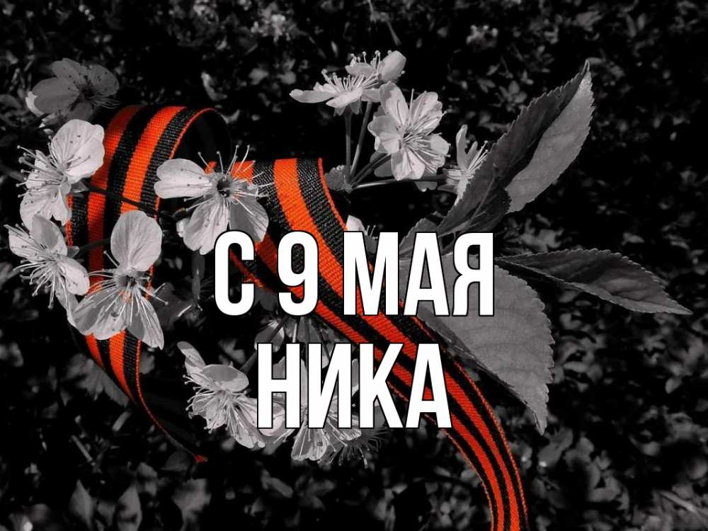 Открытка на каждый день с именем, Ника С 9 мая 9 мая Прикольная открытка с пожеланием онлайн скачать бесплатно 