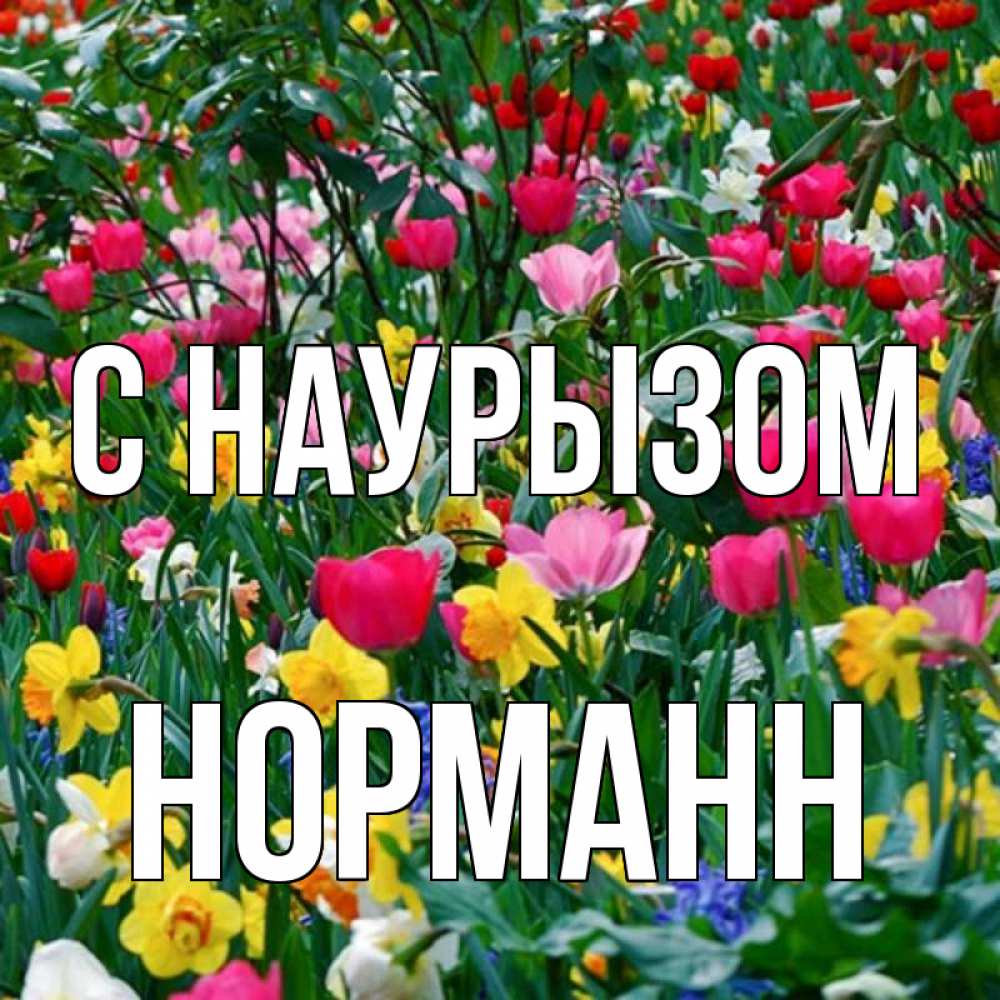 Открытка на каждый день с именем, Норманн С наурызом с наурызом праздником весны поздравления для женщины Прикольная открытка с пожеланием онлайн скачать бесплатно 