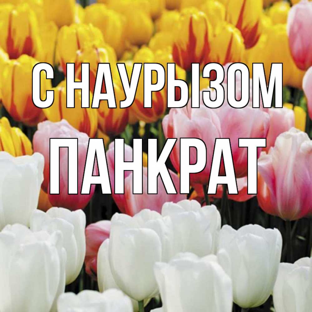 Открытка на каждый день с именем, Панкрат С наурызом разноцветные цветы Прикольная открытка с пожеланием онлайн скачать бесплатно 