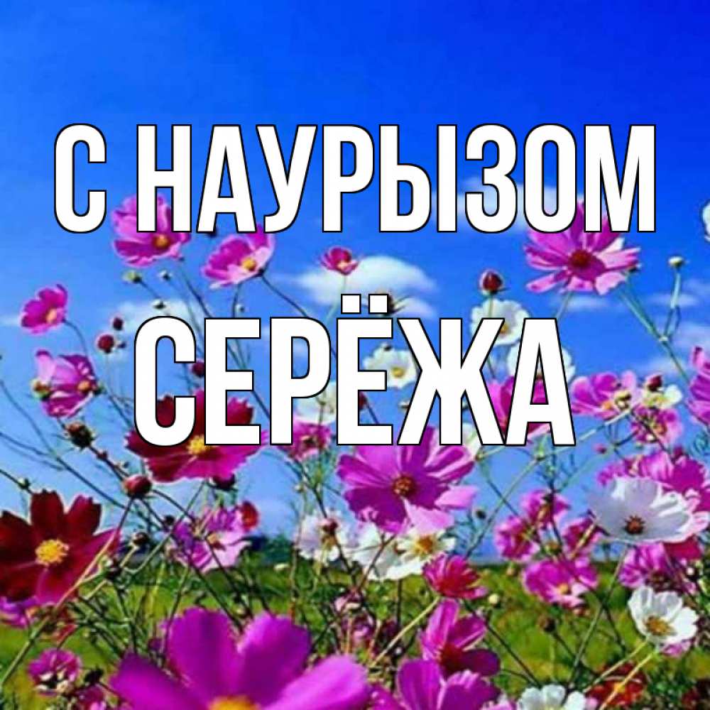 Открытка на каждый день с именем, Серёжа С наурызом цветы Прикольная открытка с пожеланием онлайн скачать бесплатно 