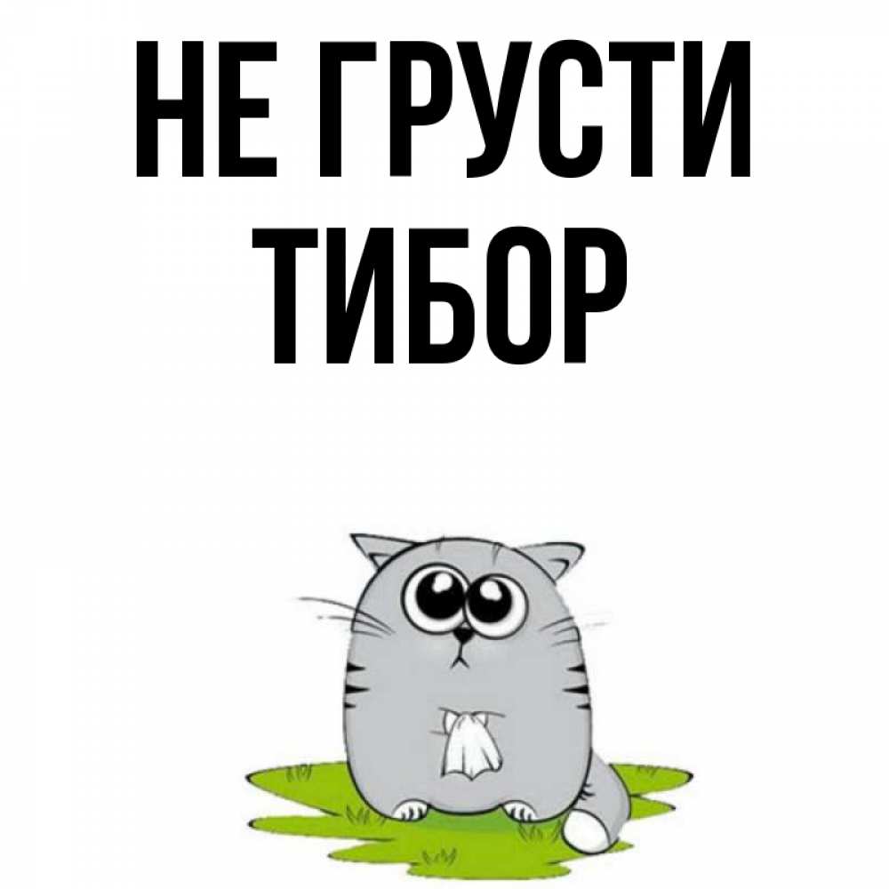 Открытка на каждый день с именем, Тибор Не грусти грустный котяра Прикольная открытка с пожеланием онлайн скачать бесплатно 