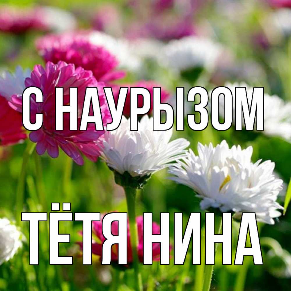 Открытка на каждый день с именем, Тётя-Нина С наурызом праздник весны наурыз красота Прикольная открытка с пожеланием онлайн скачать бесплатно 