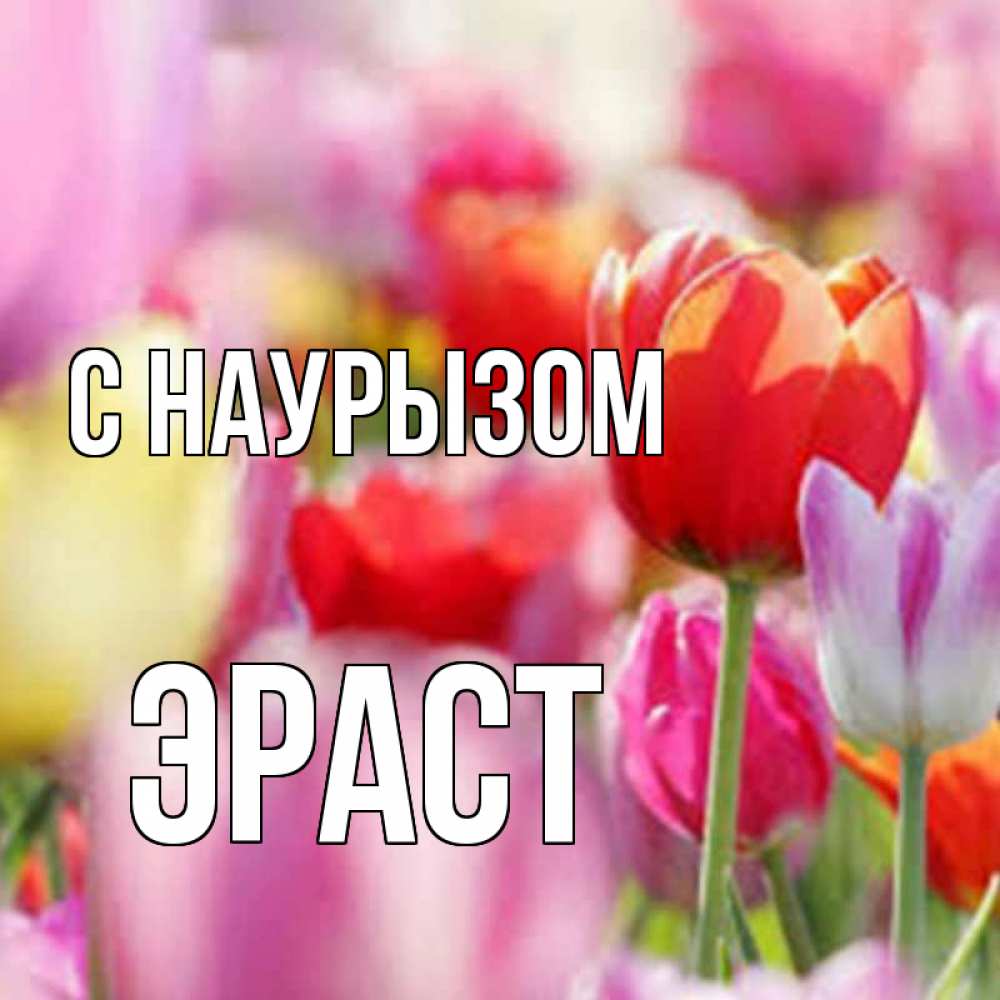 Открытка на каждый день с именем, Эраст С наурызом праздник весны наурыз 67 Прикольная открытка с пожеланием онлайн скачать бесплатно 