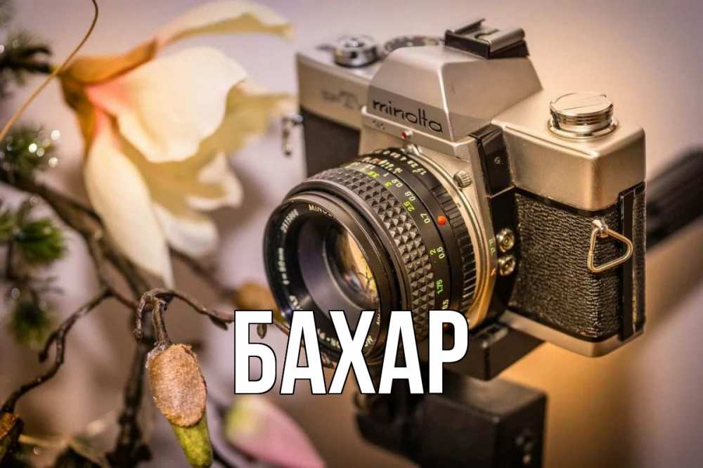 Открытка на каждый день с именем, Бахар Главная с днем фотографа 1 Прикольная открытка с пожеланием онлайн скачать бесплатно 