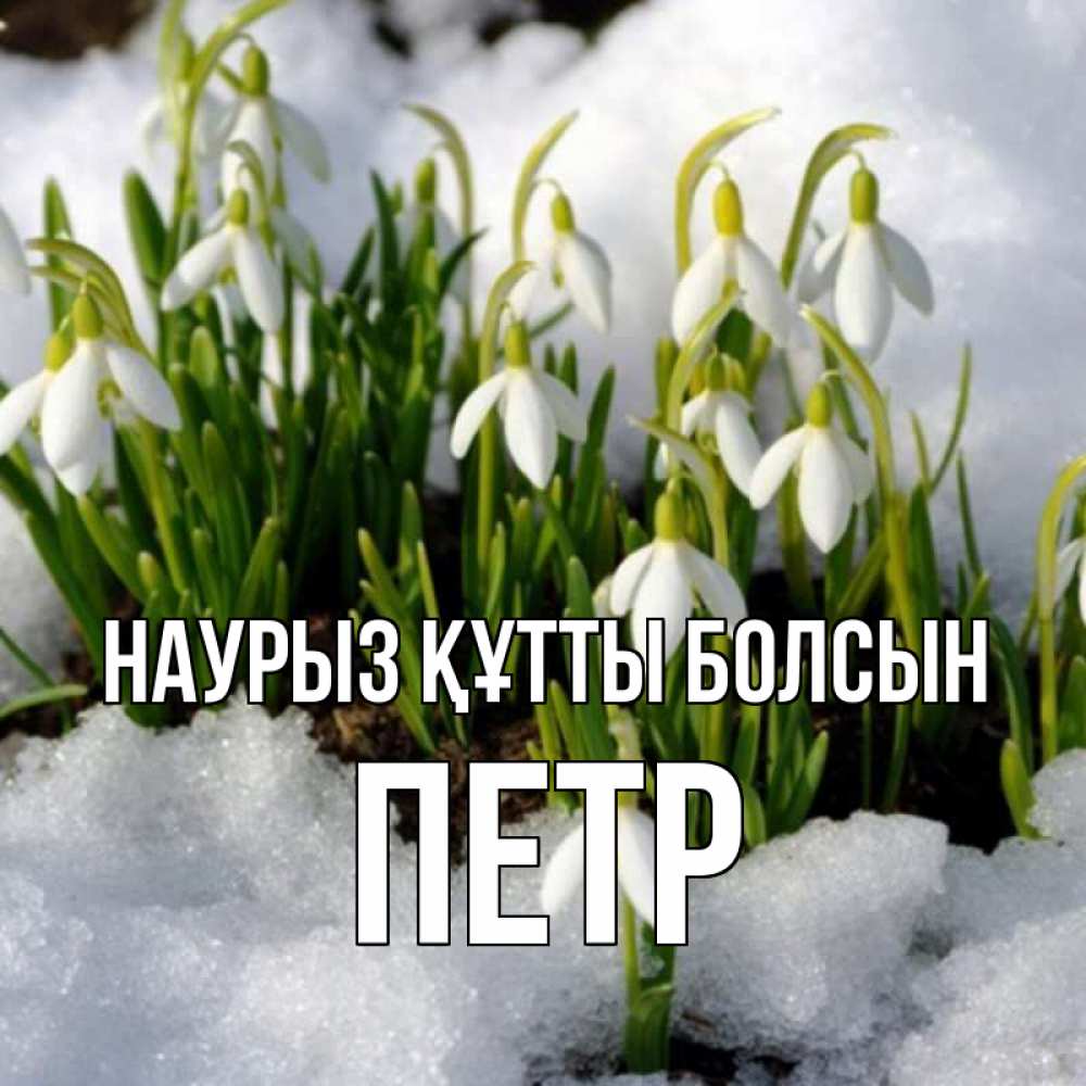 Открытка на каждый день с именем, Петр Наурыз құтты болсын цветы весенние Прикольная открытка с пожеланием онлайн скачать бесплатно 