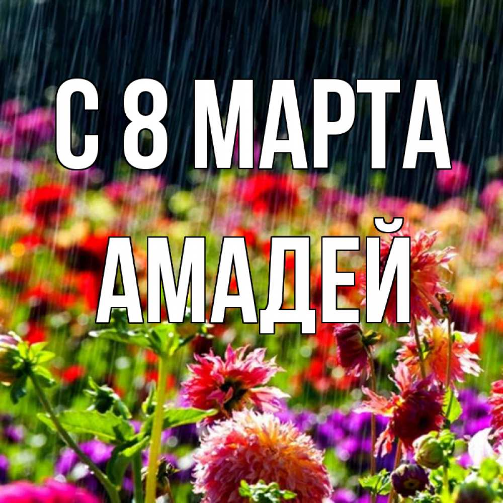 Открытка на каждый день с именем, Амадей С 8 МАРТА цветы под дождиком к международному женскому дню Прикольная открытка с пожеланием онлайн скачать бесплатно 