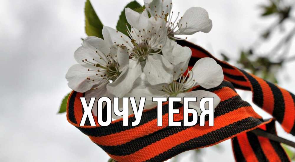 Открытка на каждый день с именем, Хочу-тебя Главная 9 мая Прикольная открытка с пожеланием онлайн скачать бесплатно 