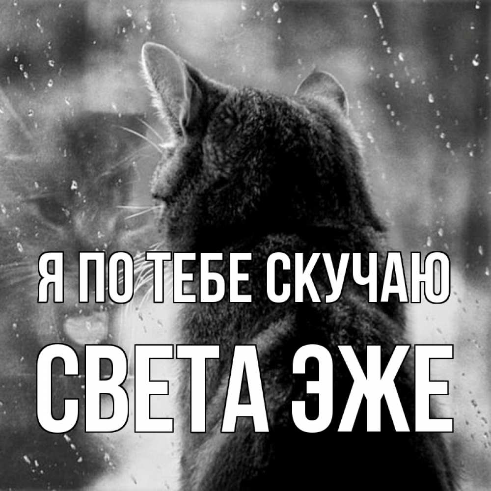 Скучаешь света. Солнце моё скучаю по тебе. Солнце моё я по тебе скучаю. Скучаю по тебе картинки. Скучаю по тебе солнышко.