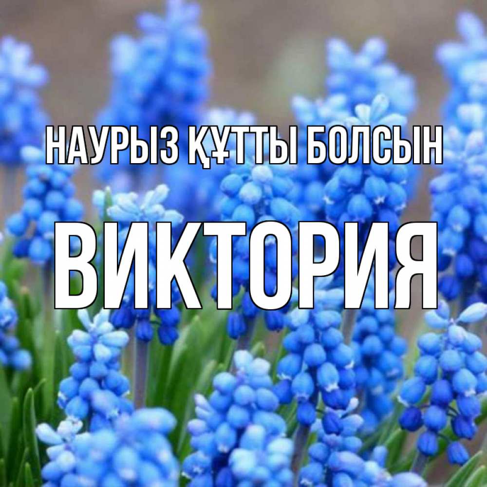 Открытка на каждый день с именем, Виктория Наурыз құтты болсын Поздравительная открытка для женщин с цветами на праздничную дату Прикольная открытка с пожеланием онлайн скачать бесплатно 