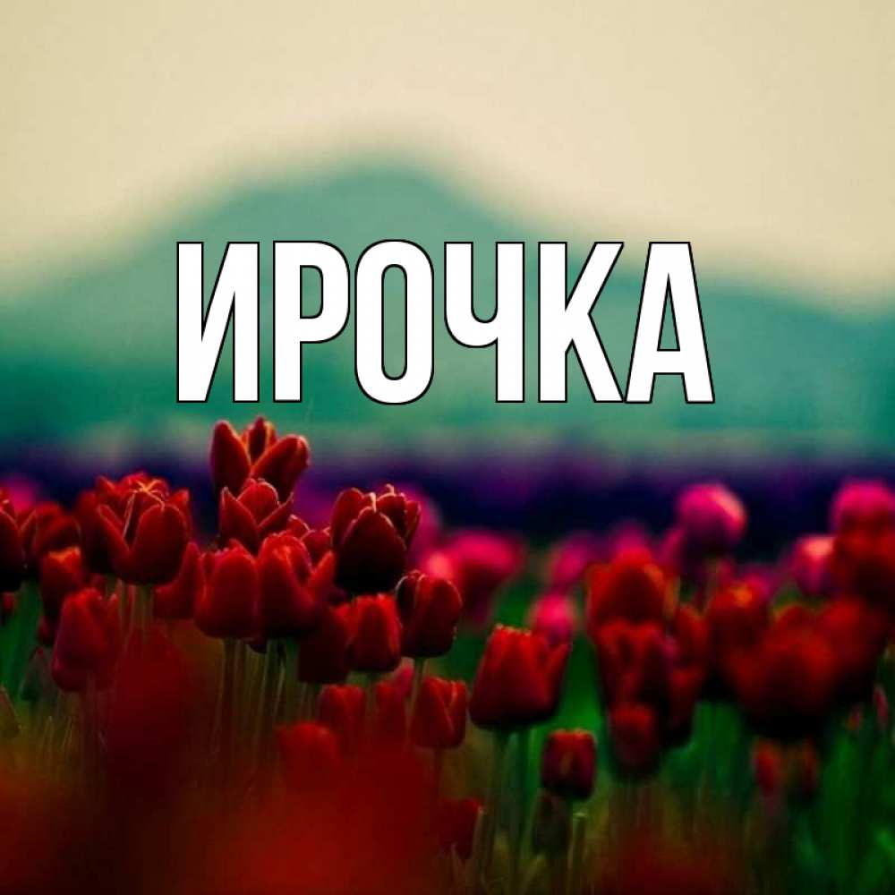 Картинка  с именем , ирочка