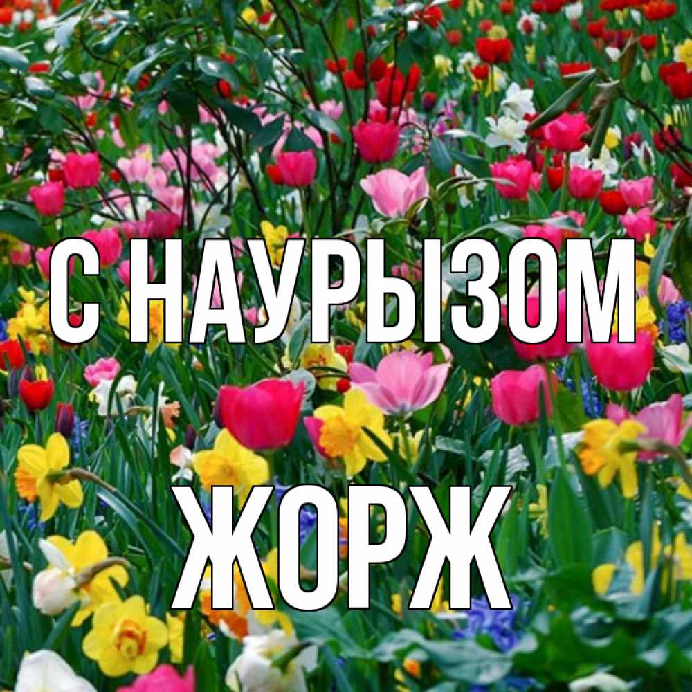 Открытка на каждый день с именем, Жорж С наурызом с наурызом праздником весны поздравления для женщины Прикольная открытка с пожеланием онлайн скачать бесплатно 