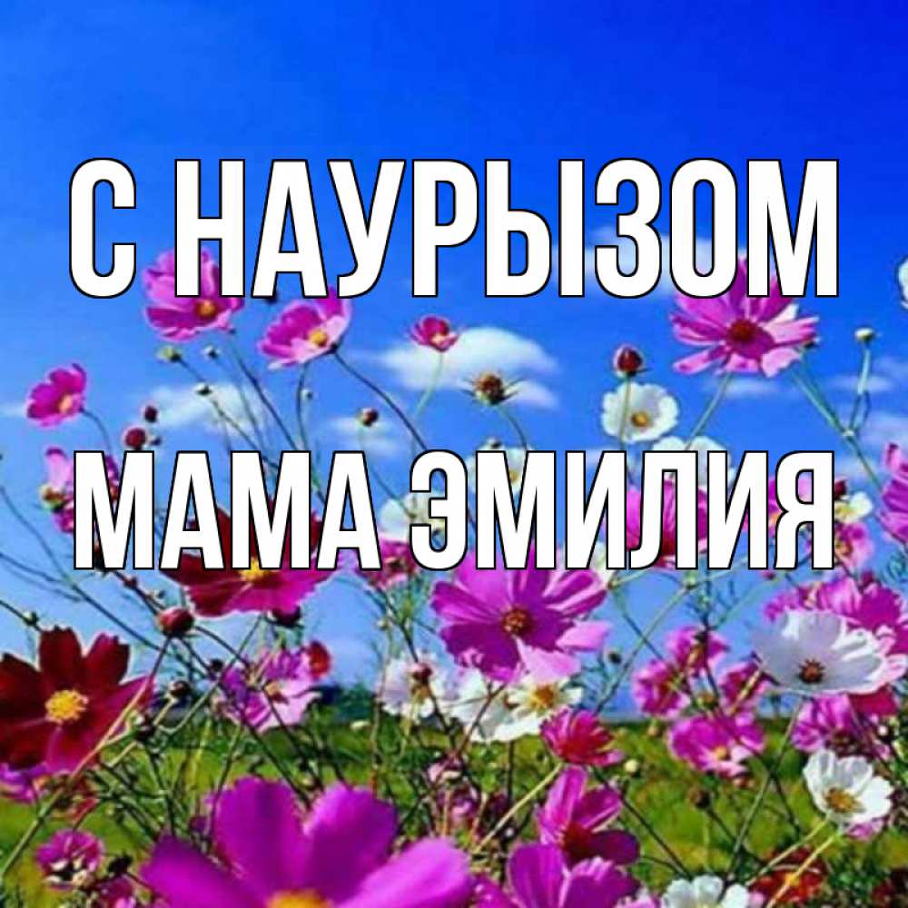 Открытка на каждый день с именем, Мама-Эмилия С наурызом цветы Прикольная открытка с пожеланием онлайн скачать бесплатно 