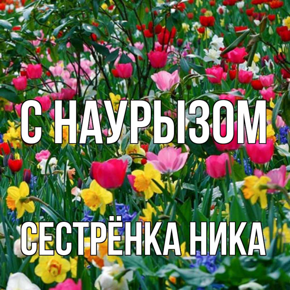 Открытка на каждый день с именем, Сестрёнка-Ника С наурызом с наурызом праздником весны поздравления для женщины Прикольная открытка с пожеланием онлайн скачать бесплатно 