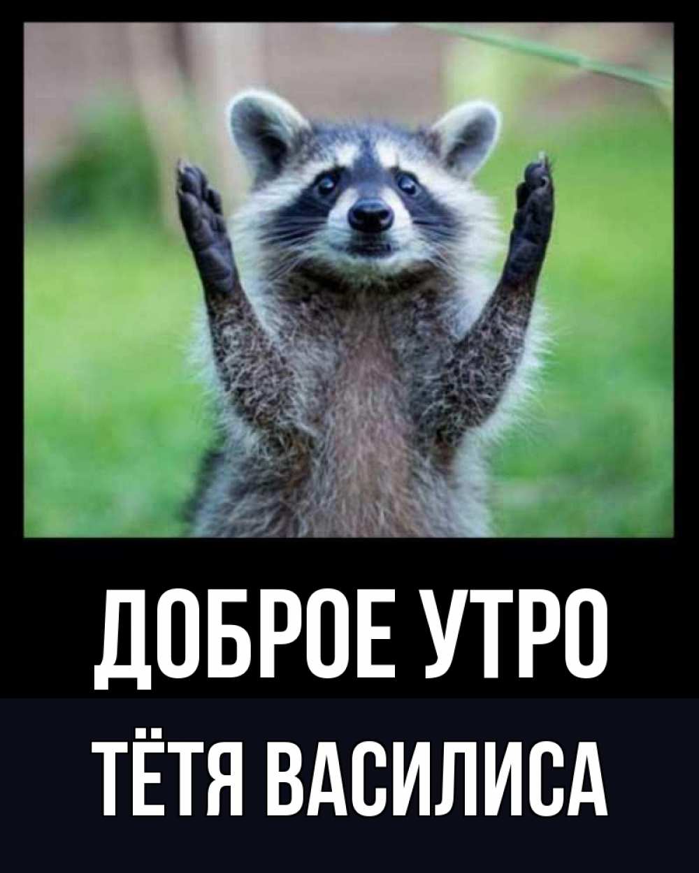 Открытка на каждый день с именем, Тётя-Василиса Доброе утро хорошее настроение утречком Прикольная открытка с пожеланием онлайн скачать бесплатно 