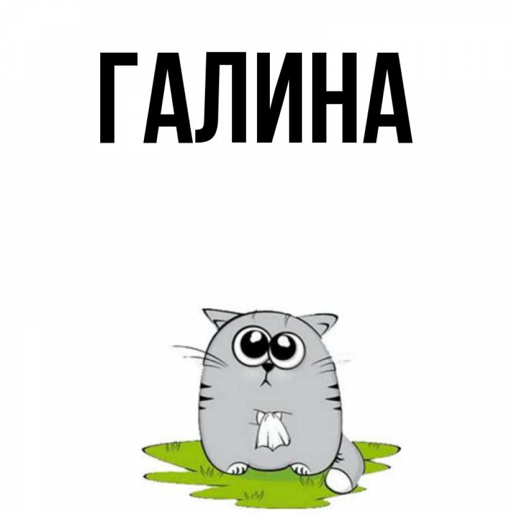 Открытка на каждый день с именем, Галина Главная грустный котяра Прикольная открытка с пожеланием онлайн скачать бесплатно 