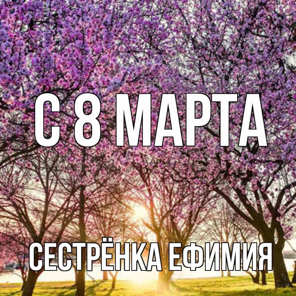 Открытка на каждый день с именем, Сестрёнка-Ефимия С 8 МАРТА международный женский день Прикольная открытка с пожеланием онлайн скачать бесплатно 