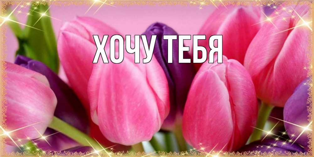 Открытка на каждый день с именем, Хочу-тебя Главная тюльпаны для женщины на международный женский день Прикольная открытка с пожеланием онлайн скачать бесплатно 