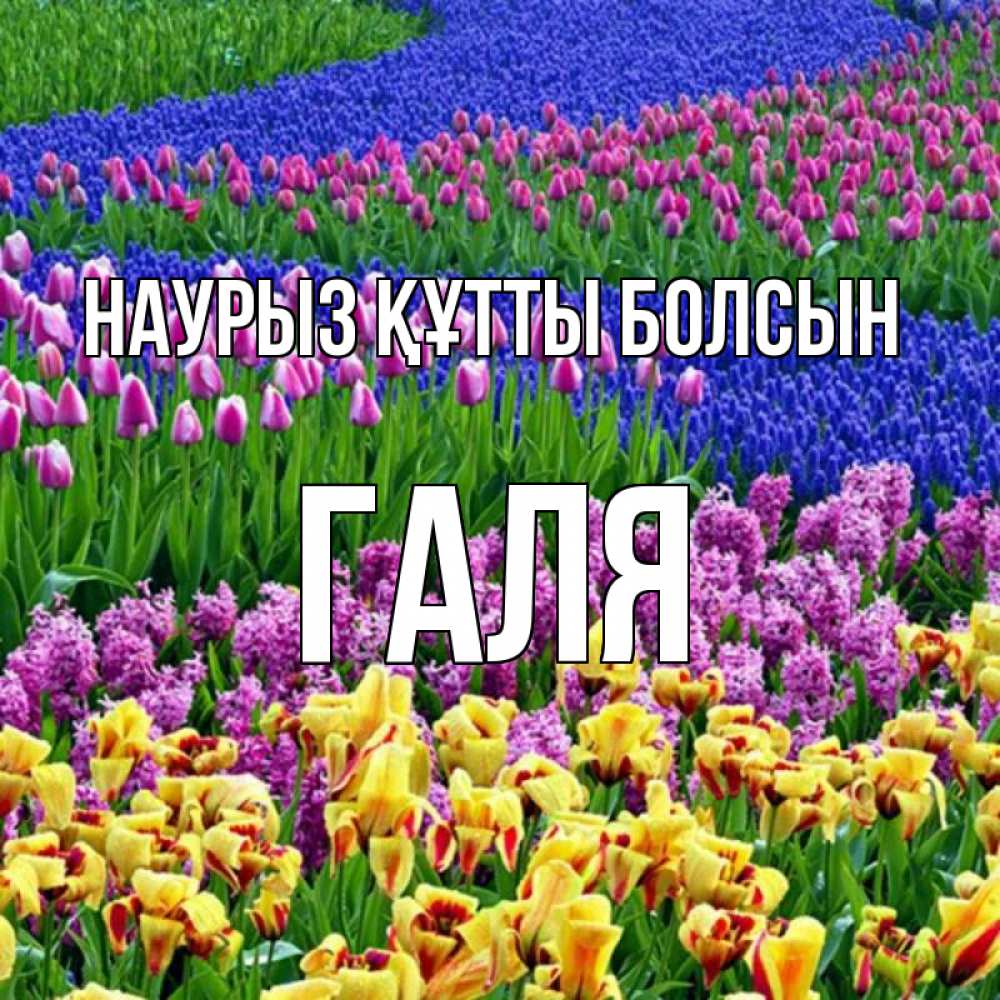 Картинка Наурыз құтты болсын, Галя