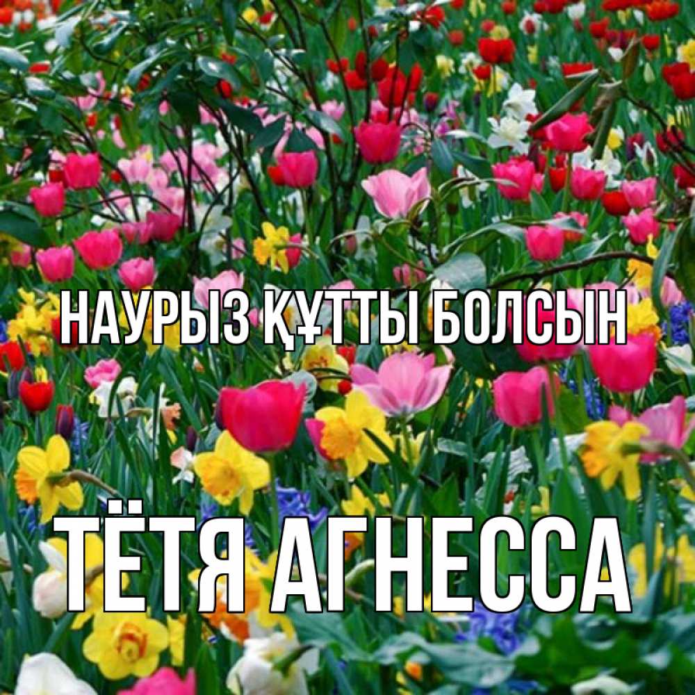 Открытка на каждый день с именем, Тётя-Агнесса Наурыз құтты болсын с наурызом поздравления для женщины Прикольная открытка с пожеланием онлайн скачать бесплатно 