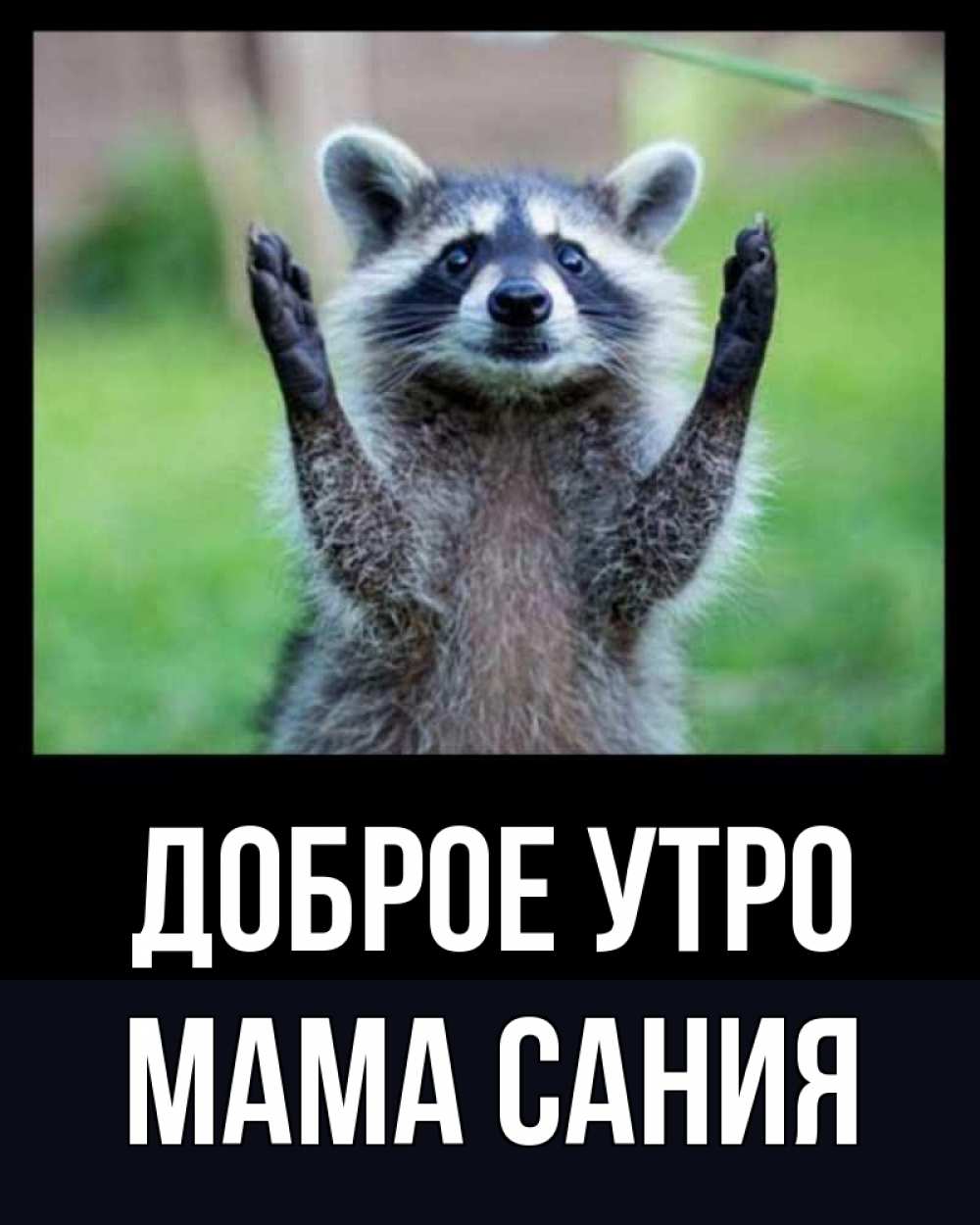 Открытка на каждый день с именем, Мама-Сания Доброе утро хорошее настроение утречком Прикольная открытка с пожеланием онлайн скачать бесплатно 