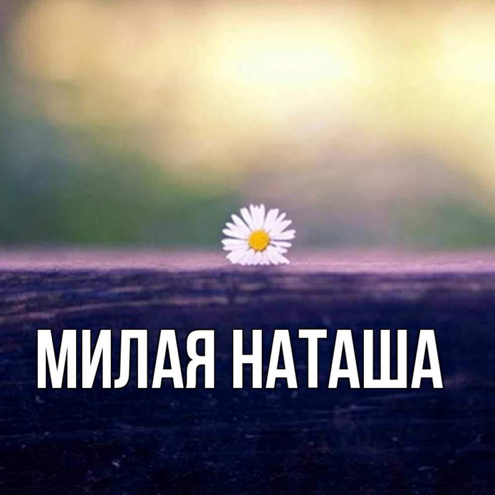 Главная Наташа Фото
