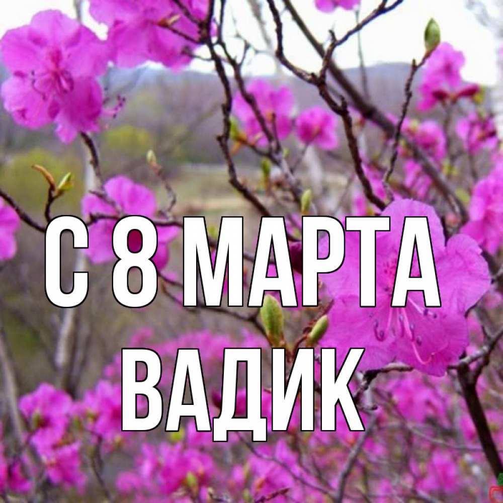 Открытка на каждый день с именем, Вадик С 8 МАРТА международный женский день Прикольная открытка с пожеланием онлайн скачать бесплатно 