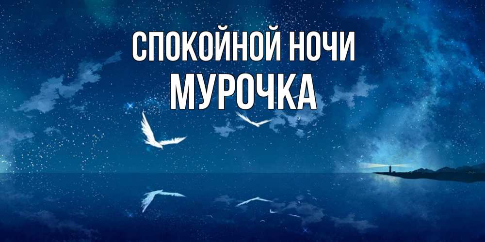 Открытка на каждый день с именем, Мурочка Спокойной ночи птицы летят на фоне ночного неба Прикольная открытка с пожеланием онлайн скачать бесплатно 
