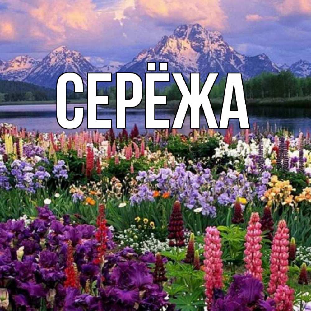 Открытка на каждый день с именем, Серёжа Главная международный женский день Прикольная открытка с пожеланием онлайн скачать бесплатно 