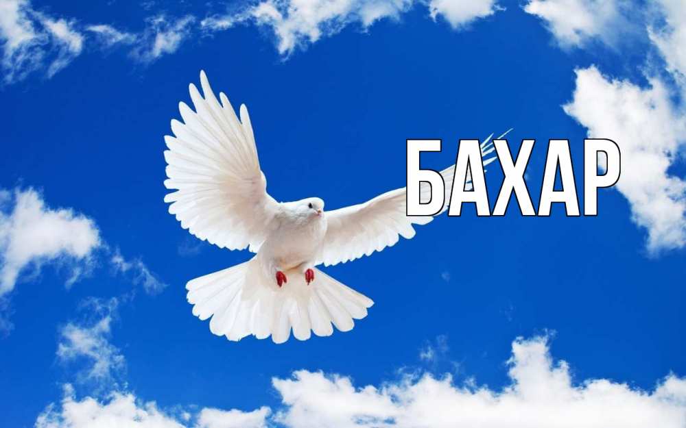 Открытка на каждый день с именем, Бахар Главная С 1 мая 1 Прикольная открытка с пожеланием онлайн скачать бесплатно 