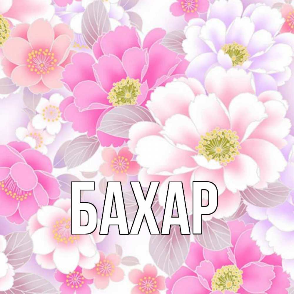 Картинка  с именем , Бахар