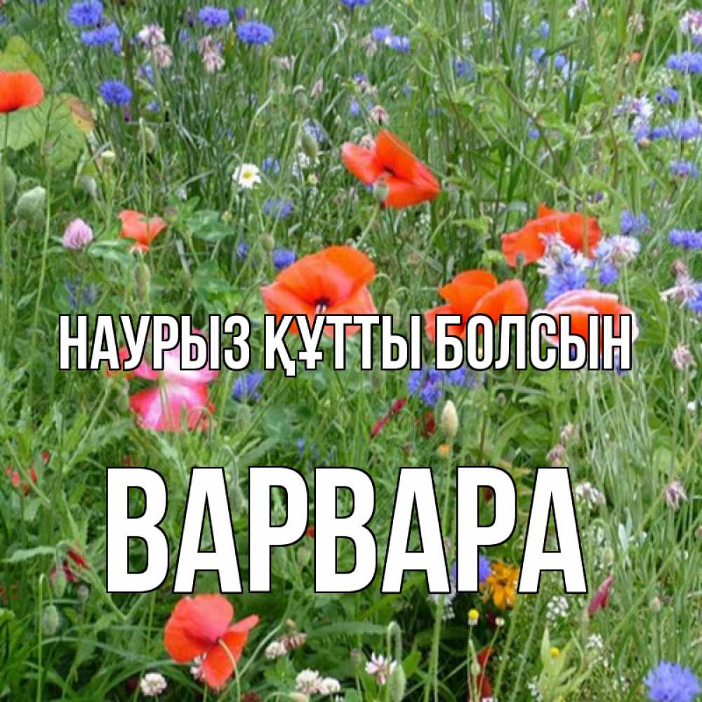 Открытка на каждый день с именем, Варвара Наурыз құтты болсын наурыз  4 Прикольная открытка с пожеланием онлайн скачать бесплатно 