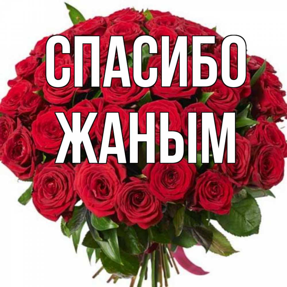 Имя жаным