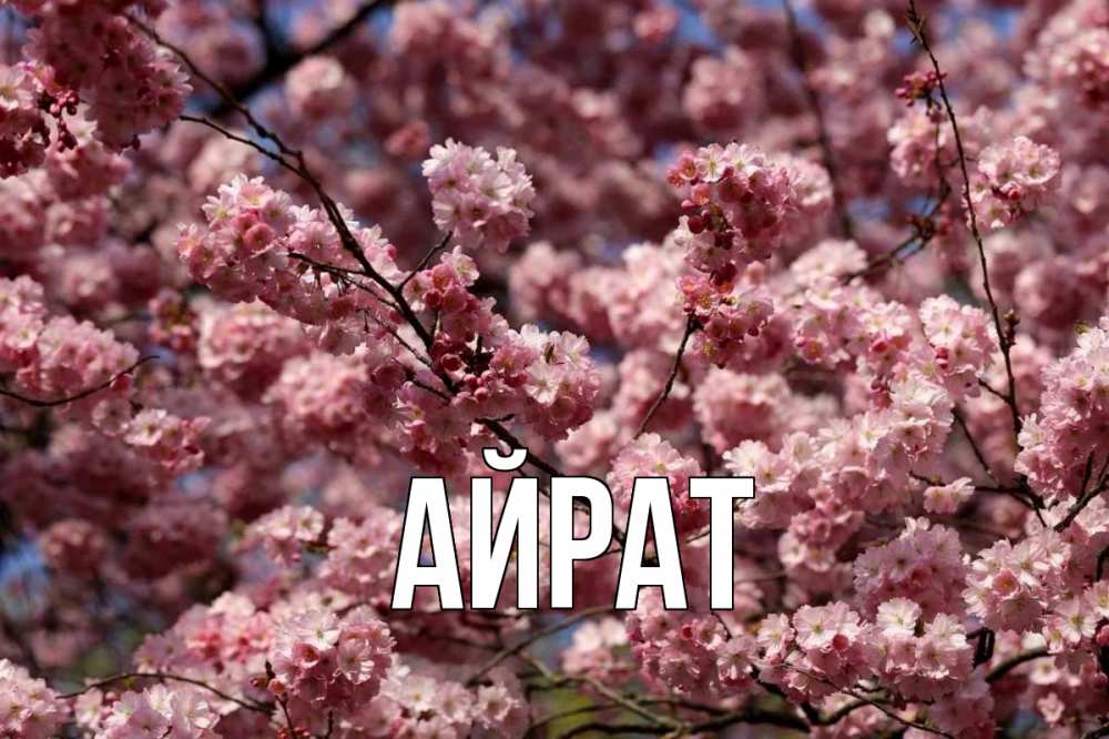 Открытка с именем, Айрат, 