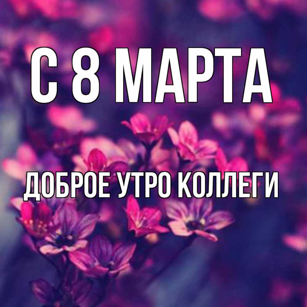 Открытка на каждый день с именем, Доброе-утро-Коллеги С 8 марта небольшие цветы 1 Прикольная открытка с пожеланием онлайн скачать бесплатно 