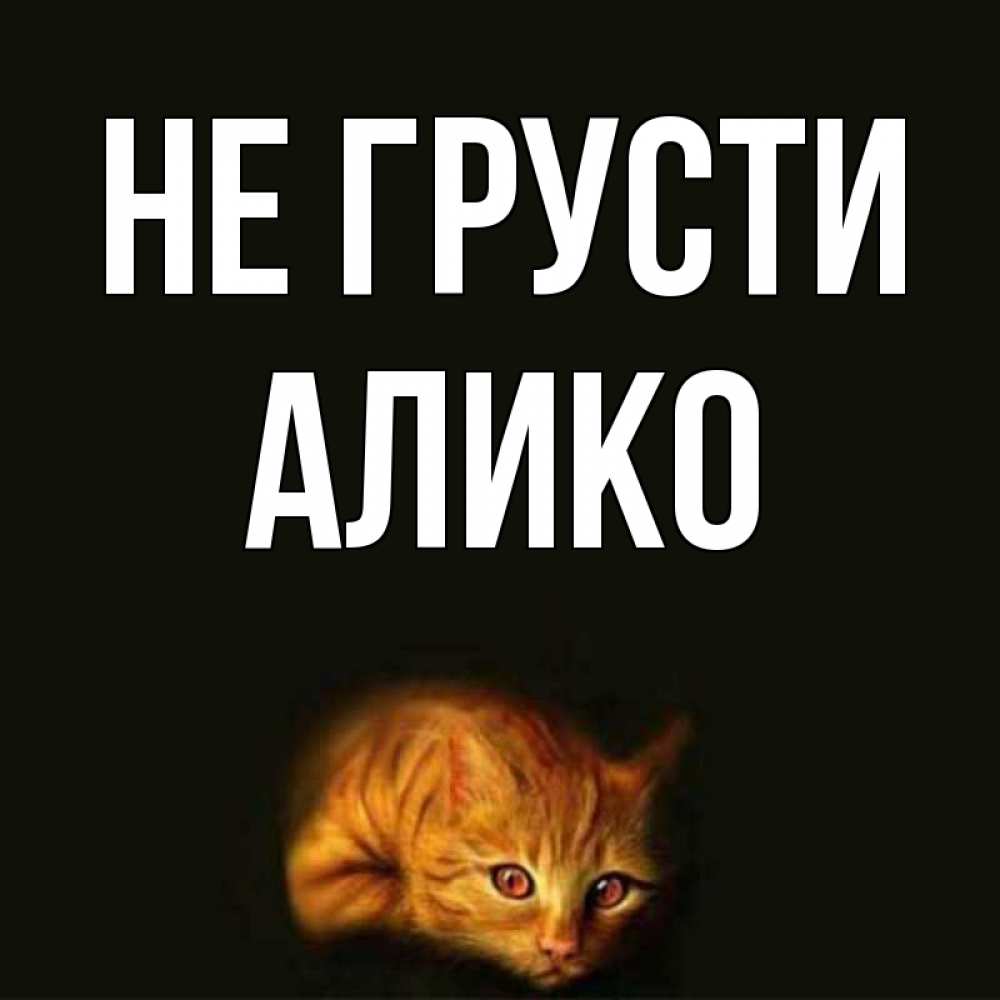 Открытка на каждый день с именем, Алико Не грусти лежащий кот в темноте Прикольная открытка с пожеланием онлайн скачать бесплатно 